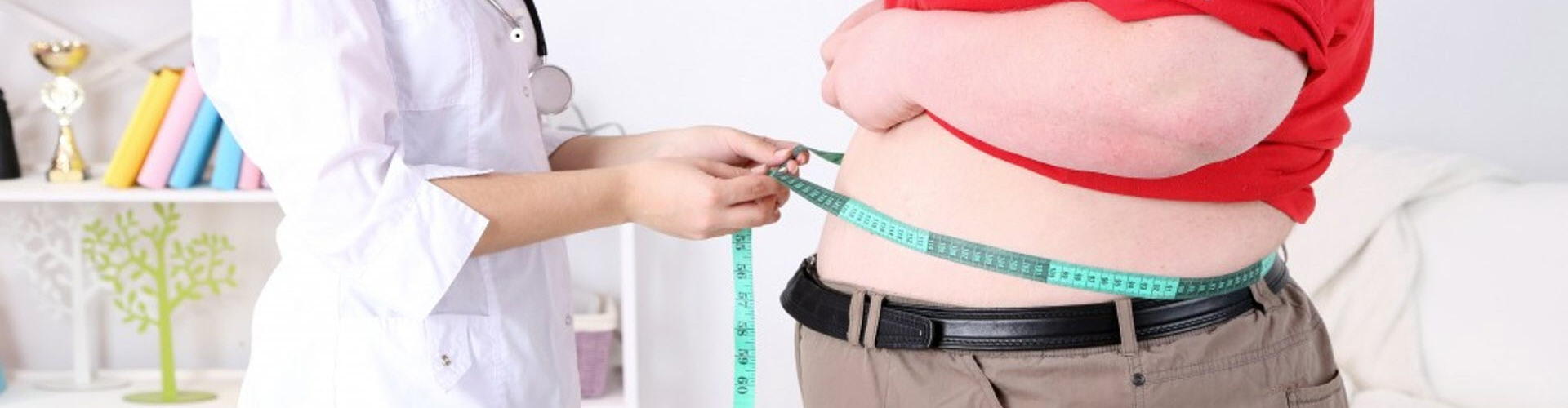 Obezite Nasıl Önlenir: Obeziteye Bitkisel Çözüm Obezite Nasıl Önlenir: Obeziteye Bitkisel Çözüm